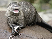 В Испании прекратили поиск 