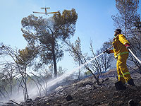 Продлен арест троих подозреваемых в поджоге леса