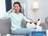 Исследование: аллергию на кошек вызывает их слюна, а не шерсть