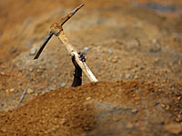 В Омске пройдут соревнования по копанию могил