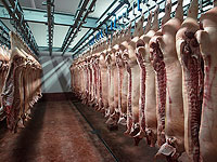 Почему вспышки эпидемии коронавируса зачастую происходят на скотобойнях