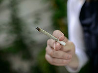 Законы о легализации каннабиса утверждены в предварительном чтении