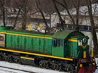 В Днепре поезд сбил полуторагодовалую девочку