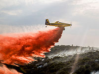 В тушении пожара в Самарии принимают участие шесть пожарных нарядов и четыре самолета