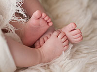 Трагедия в Бразилии: ревнивая собака разорвала новорожденных сестричек