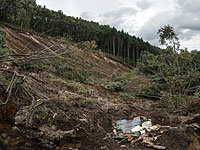 Число жертв  оползня на нефритовом руднике в Мьянме возросло до 162