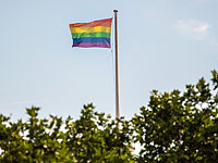 В Союзе женщин России рекламу мороженого