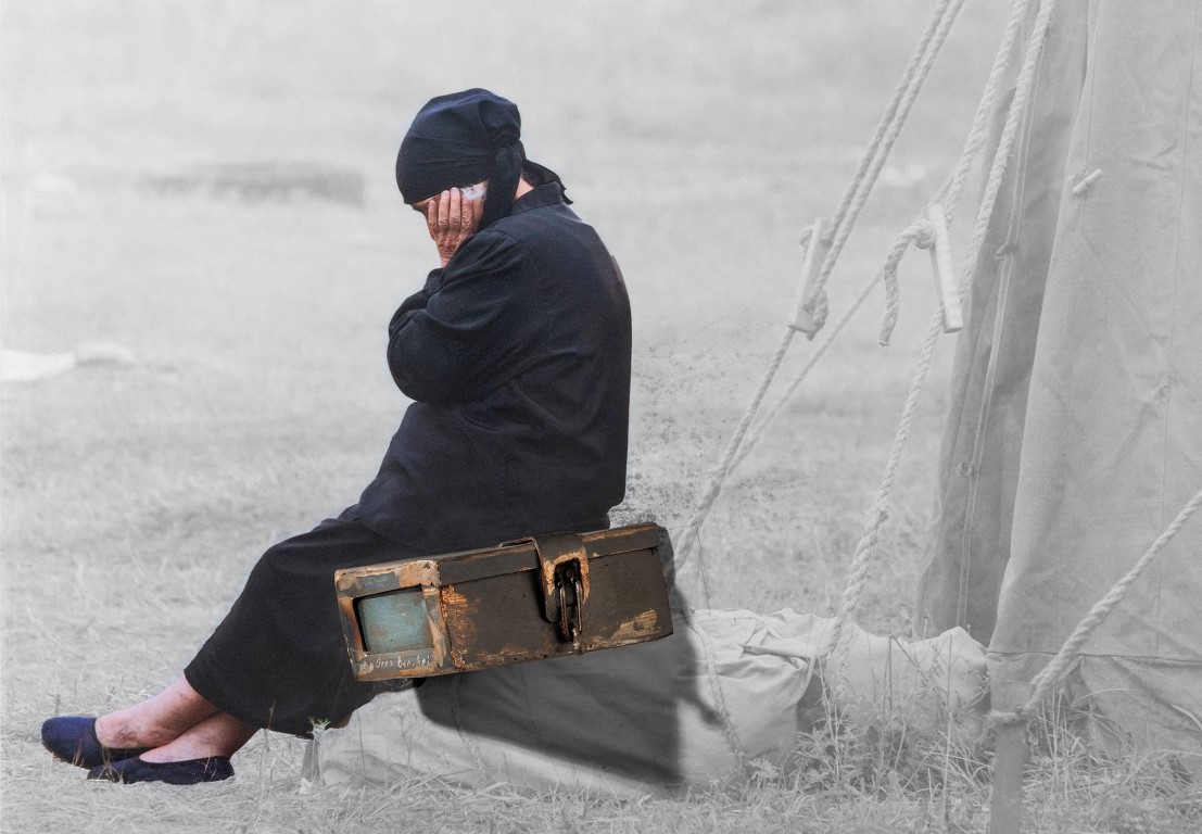 Пять летних выставок в музее 