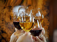 СМИ: на вечеринке у полковника полиции Мири Пелед гости были без масок и не соблюдали дистанцию