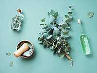 Глава минсельхоза Индонезии представил ожерелье из листьев эвкалипта, 