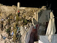 На руинах старой таможни в Яффо прошли учения кинологов ЦАХАЛа. ВИДЕО