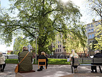 Почему Швеция выбрала особый путь во время эпидемии коронавируса: ответ в Конституции