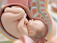 Во Франции подтвержден первый случай внутриутробного заражения COVID-19