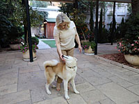 Канцелярия главы правительства опровергла слухи о болезни Сары Нетаниягу