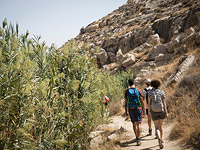 В Иудейской пустыне проводится операция по спасению молодой женщины, потерявшей сознание