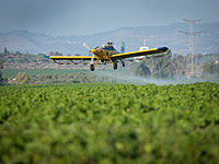 Нашествие мух на севере и юге Израиля: минздрав штрафует фермеров