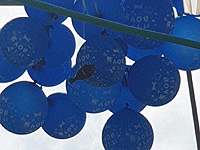 В кибуце Нир Оз упала связка воздушных шаров с привязанной к ней гранатой