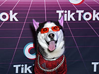 WSJ: Трамп грозит заблокировать TikTok – Microsoft приостановила переговоры о покупке акций