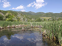 Житель Юты повздорил с женой из-за ужина и пытался ее утопить