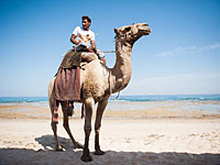 С сентября для въезда в Египет надо будет предъявить результаты теста на коронавирус