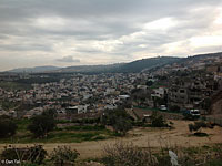 ТОП-20 населенных пунктов Израиля по