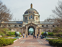 Зоопарк в Бронксе извинился за демонстрацию посетителям юного африканца в клетке