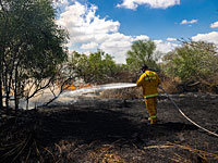 В субботу на территории Хоф Ашкелон и Эшколь вспыхнуло не менее 23  пожаров