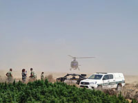 Пограничники с помощью вертолета нашли в пустыне 23 теплицы с марихуаной. Видео