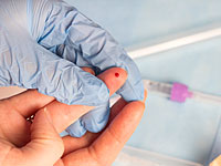 Reuters: сахар в крови Навального во время госпитализации в Омске был в норме