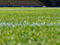 Матч чемпионата России отменен. 10 игроков