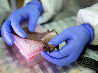 Ученые изучат возможность утечки COVID-19 из лаборатории в рамках расследования происхождения вируса