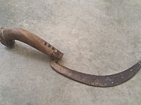 Житель Индии вспорол серпом  живот жены: он хотел мальчика