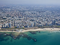 В Бат-Яме на берег выбросило мертвого дельфина