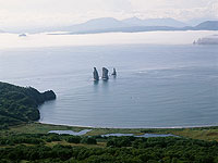 Всемирный фонд дикой природы подключится к поиску причин загрязнения Тихого океана у побережья Камчатки