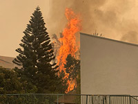 Пожары в Израиле на фоне сухой и жаркой погоды, причинен значительный ущерб