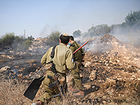 ЦАХАЛ помогает в тушении пожаров и эвакуации жителей из районов, которым угрожает огонь. Фоторепортаж