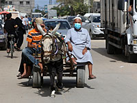 Коронавирус в Палестинской автономии: за сутки выявлено около 300 новых случаев заражения, 11 больных умерли