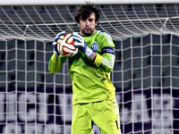 45-летний Александр Шовковский включен в заявку сборной Украины на матч с французами