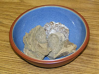 Тайваньский рыбак нашел 