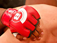 Bellator. Израильский 