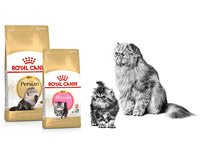 Лучшее для наших лучших друзей