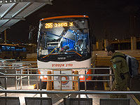 Междугородний транспорт возобновляет работу в обычном режиме, но до 22:00