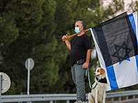 Митинги протеста: несанкционированные марши и нападения на участников демонстраций
