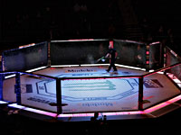 UFC в ОАЭ. Хабиб ушел непобежденным.  Российский