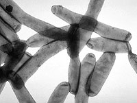 Коронавирусное отделение в больнице