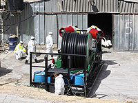 Вирус птичьего гриппа обнаружен в мошаве Рам-Он