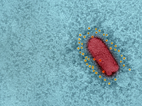 Минздрав Израиля сообщил о росте коэффициента распространения инфекции