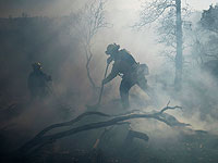 Человеческий фактор усиливает пожары в Калифорнии
