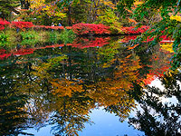 Все краски японской осени. Фоторепортаж