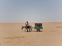 ОАЭ откроют консульство в Западной Сахаре, признав права Марокко